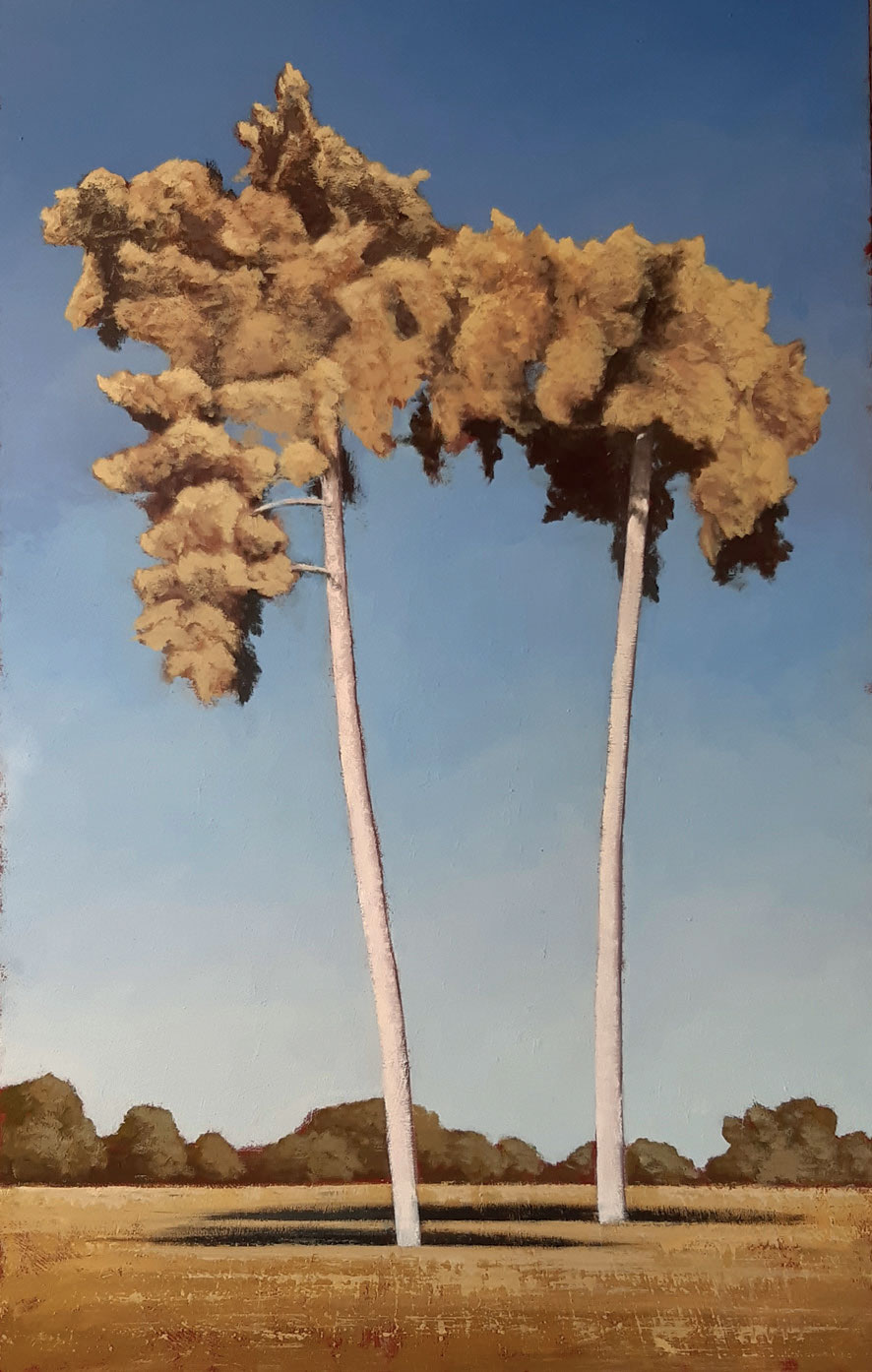 Les deux pins - 81 x 130 cm
